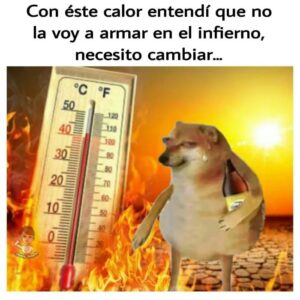 WhatsApp Image 2026-04-28 at 14.51.06