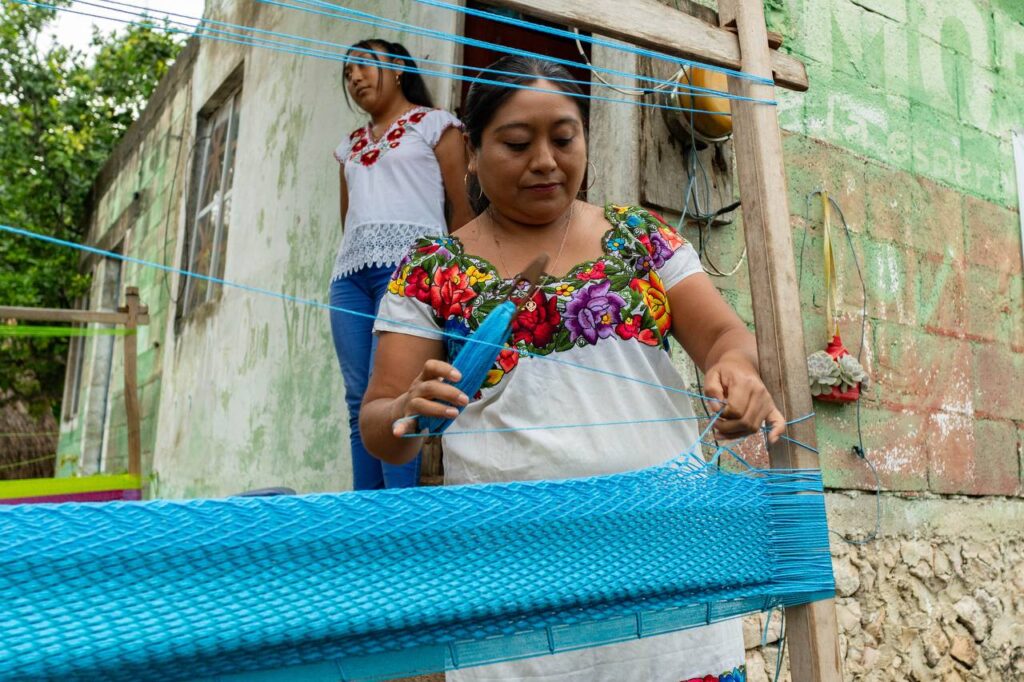 cooxmayab