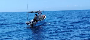 Pesca