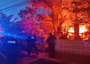 Bomberos con equipo contra incendio en área con árboles y fuego intenso