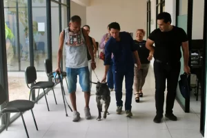 Personas caminando en un pasillo con un perro de color oscuro con manchas blancas en el pecho, dos hombres adelante y más per