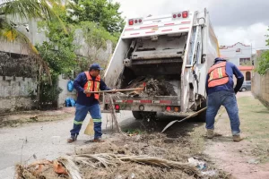 Dos trabajadores de limpieza con chalecos y gorras recogen desechos y ramas secos frente a camión de basura