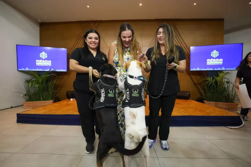 Dos mujeres con perros entrenados y una persona sonriente en un escenario con pantallas que muestran el logo de Mérida