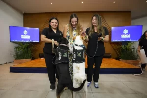 Dos mujeres con perros entrenados y una persona sonriente en un escenario con pantallas que muestran el logo de Mérida
