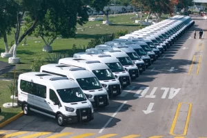 Una fila larga de camionetas blancas Ford estacionadas en línea sobre una calle junto a un área verde con árboles